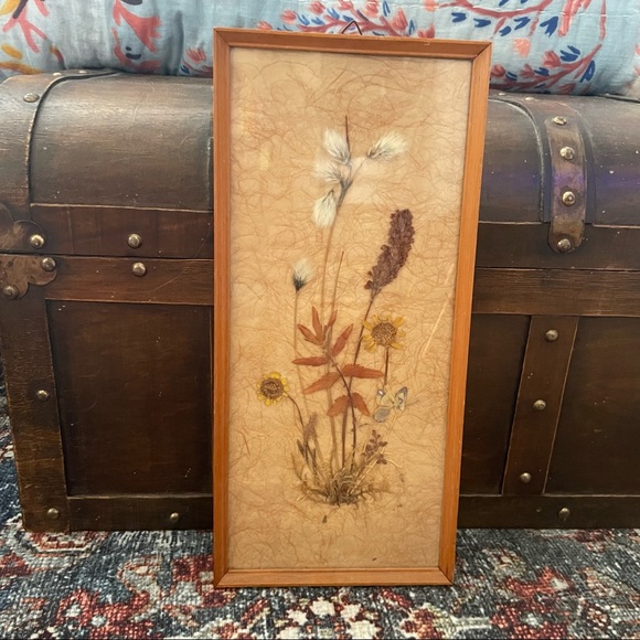 Framed Pressed Flowers - Picture 1 of 2